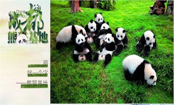 長(zhǎng)沙、成都雙飛6天