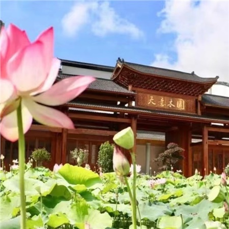 益陽(yáng)天意木國(guó)木文化博物館、金家堤、一碑五館一日游