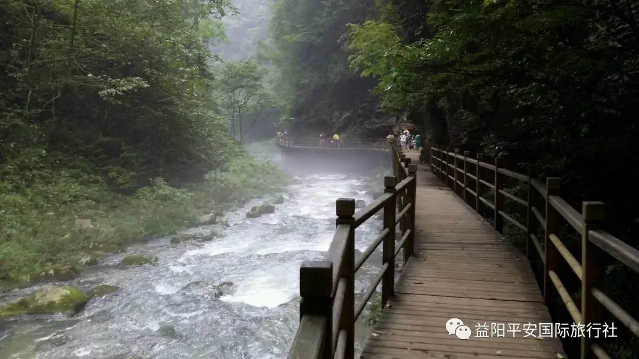 　張家界大峽谷、玻璃橋、黃龍洞品質(zhì)純玩兩日游c2