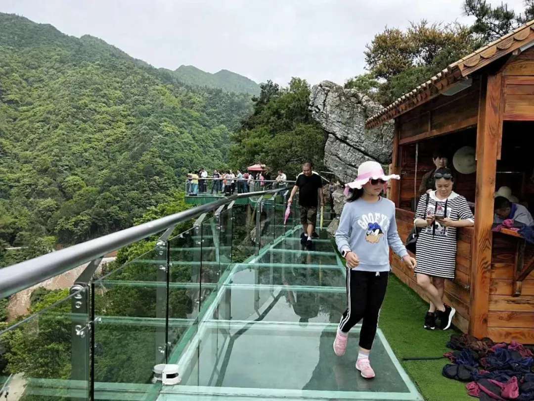 益陽安化?天下茶道、云臺(tái)山、茶香花海2日游