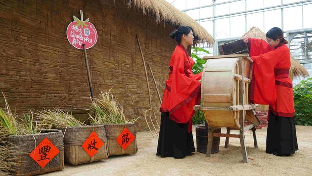 　益陽天意木國+現(xiàn)代農業(yè)嘉年華汽車一日游