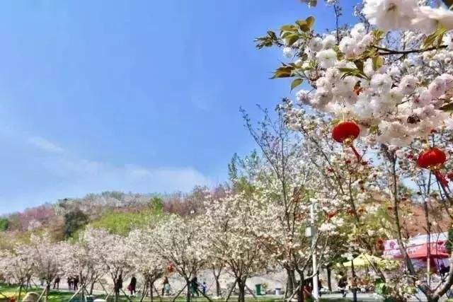 長沙潯龍河櫻花谷、田漢文化園一日游
