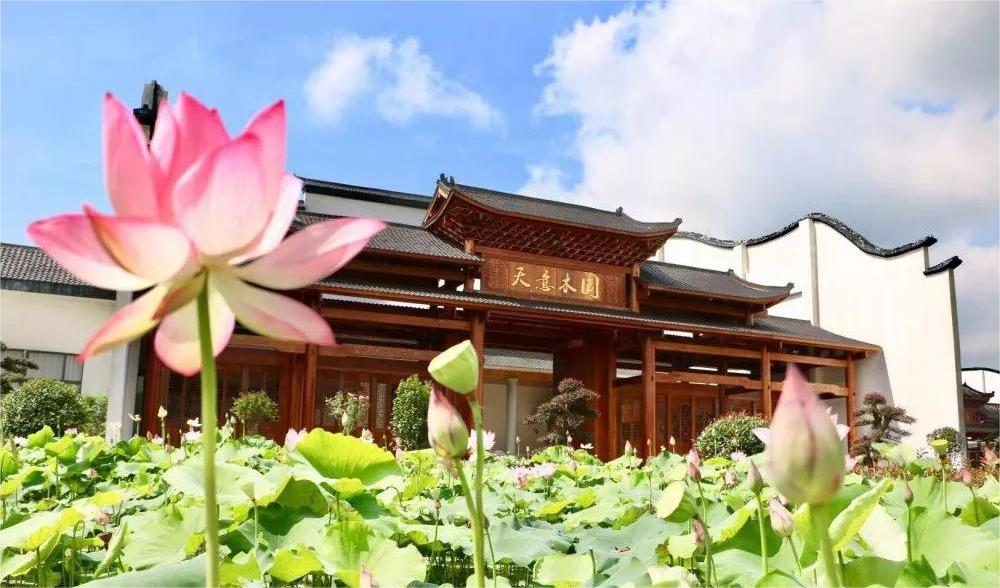 清溪村、天意木國景區(qū)、明清古巷、市博物館、胡林翼故居二日游